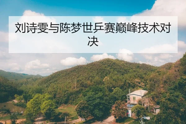 刘诗雯与陈梦世乒赛巅峰技术对决