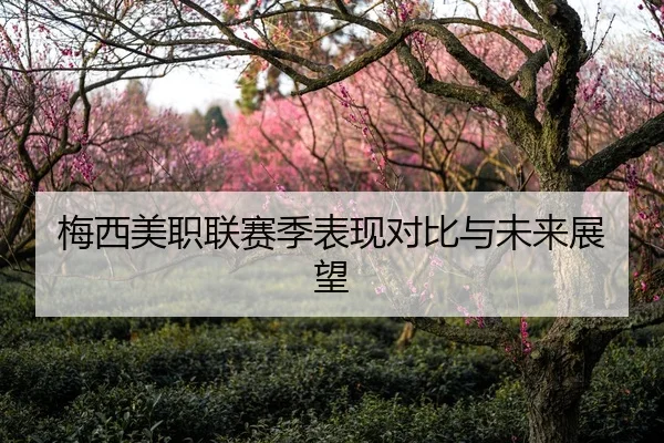 梅西美职联赛季表现对比与未来展望